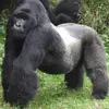 ryanmontague32 - @ryanmontague32 - TikTok