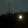 ryan moran 💯 - @._.ryan.moran - TikTok