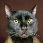 Ryan Moreau - @vlexity360 - Instagram