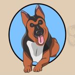 Ryan Morrill - @countrysidedogsitting - Instagram