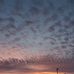 Ryan Mosier - Facebook