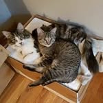 Ryan Moskaluk - @ryanmoskaluk - Instagram