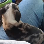 ryanmulkey - @ryanmulkey8 - Instagram