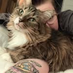 Ryan Mullis - @ryan.mullis.9 - Instagram