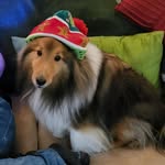 Ryan Murnane - @yarnryanm - Instagram