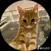 Ryan✞ - @ryanmurnane - TikTok
