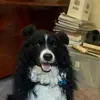 Ryan.Murnane - @ryanmurnane05 - TikTok