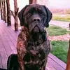 Ryan Murrell - @ryan.murrell - TikTok