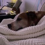 Ryan Murrin - @murrinfish - Instagram