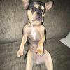 ryan nalls33 - @user5005215347561 - TikTok