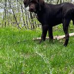 Ryan Nason - @ryan.nason.37 - Instagram
