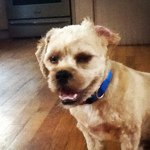 Ryan Naughton - @ryanaughton401 - Instagram