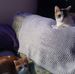 Ryan Naugle - Facebook