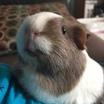 Ryan Naugle - @ryguy.naugle - Instagram
