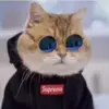 Ryan Navarro - @ryan_n021 - TikTok