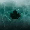 Ryan Navin - @pickler6 - TikTok