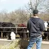 Ryan Nelson - @ryannelson48 - TikTok