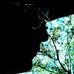 Ryan Nicholson - Facebook