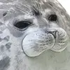 Ryan Nicholson - @ryan.nicholson77 - TikTok