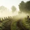 RyanNoah8625 - @ryannoah8625 - TikTok