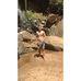 Ryan Novaes - Facebook
