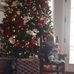 Ryan Nunley - Facebook