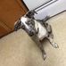 Ryan Nunley - Facebook
