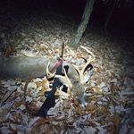 @ryan_nunley_84 - Instagram