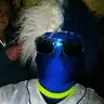 Ryan Nystrom - @user365664204 - TikTok