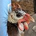 Ryan Odegard - Facebook