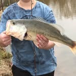 Ryan O’Dell - @burgess_falls_baits - Instagram