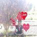 Ryan Olive - Facebook