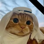 ريان الجعافره - @ryan__omer - Instagram