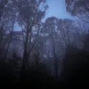 Ryan ✝️ - @ryan.oneill20 - TikTok