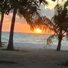 Ryan O’Neill - @ryan.oneill82 - TikTok