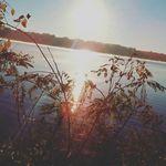 Ryan Osborn - @ryan_osborn_ - Instagram