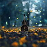 Ryan Osborn - @ryanosborn52 - Instagram