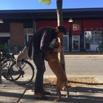 Ryan Osgood - @lastwhiterhyno - Instagram