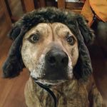 Ryan Otte - @ryanofotte - Instagram