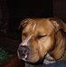 Ryan Overton - Facebook