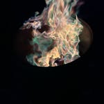 Ryan paden - @ryanpaden643 - Instagram