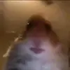 RYAN - @ryan.paden - TikTok