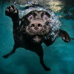 Ryan Padgett - @padgett.ryan - Instagram