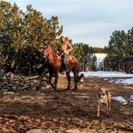 Ryan Pagel - @dirtydirtyryan - Instagram
