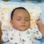 ryanpalsanthera - @ryanpalsanthera - Instagram