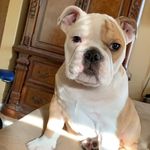 Ryan Parfitt - @ryan.parfitt.5872682 - Instagram