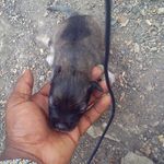 ryan parris - @ryan_parris_ - Instagram