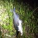 Ryan Parson - Facebook