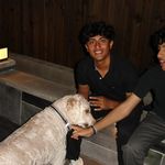 Ryan Patel - @ryan.patell - Instagram