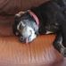Patti Ryan - Facebook